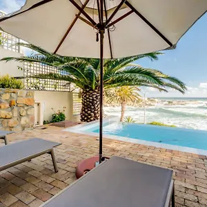 Camps Bay Terrace Palm Kapstadt
