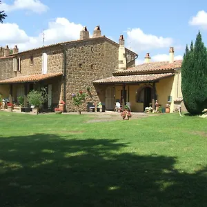 Poggio Dell'olivo , Pitigliano Italia